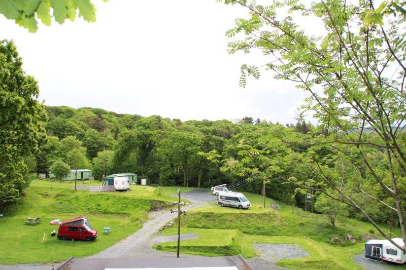 Campervan pitches among trees