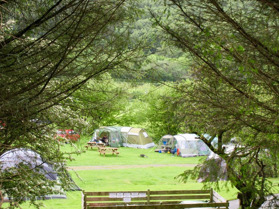 Tents through the trees