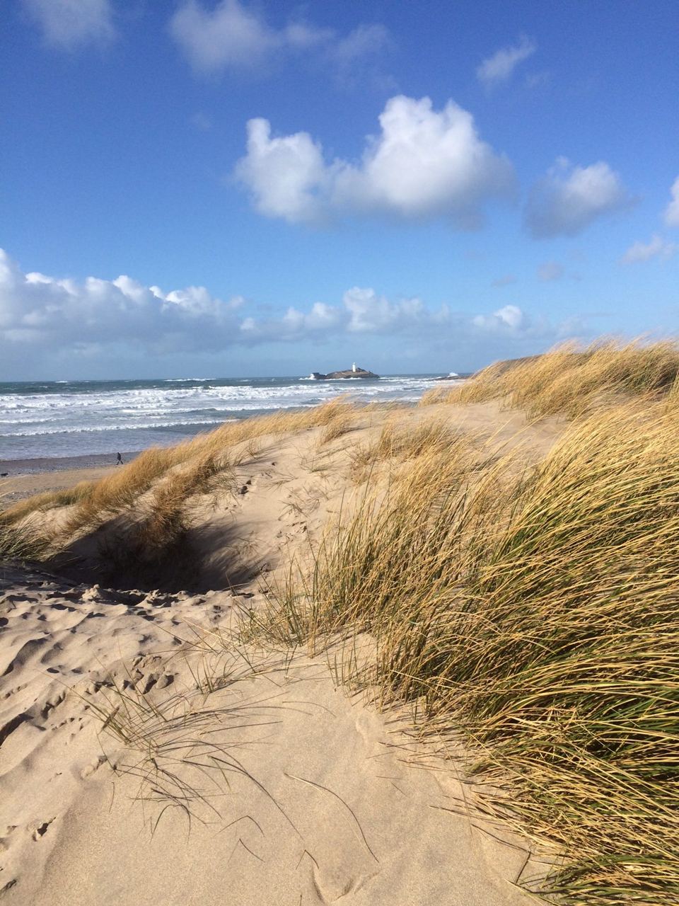 Dunes above the sand