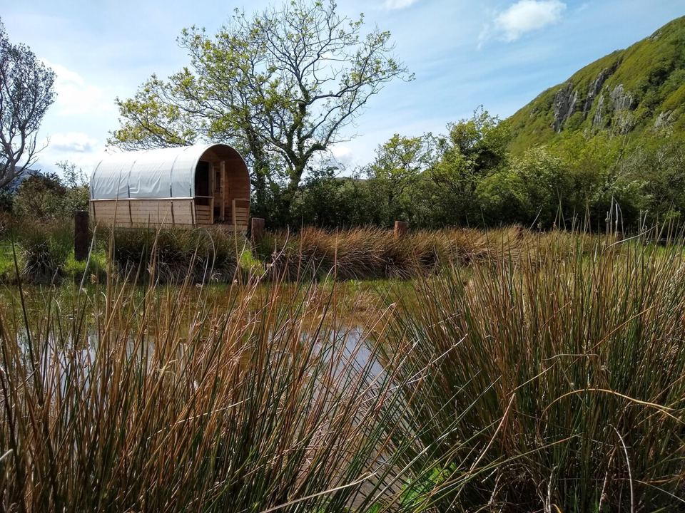 Wagon seen across the reeds