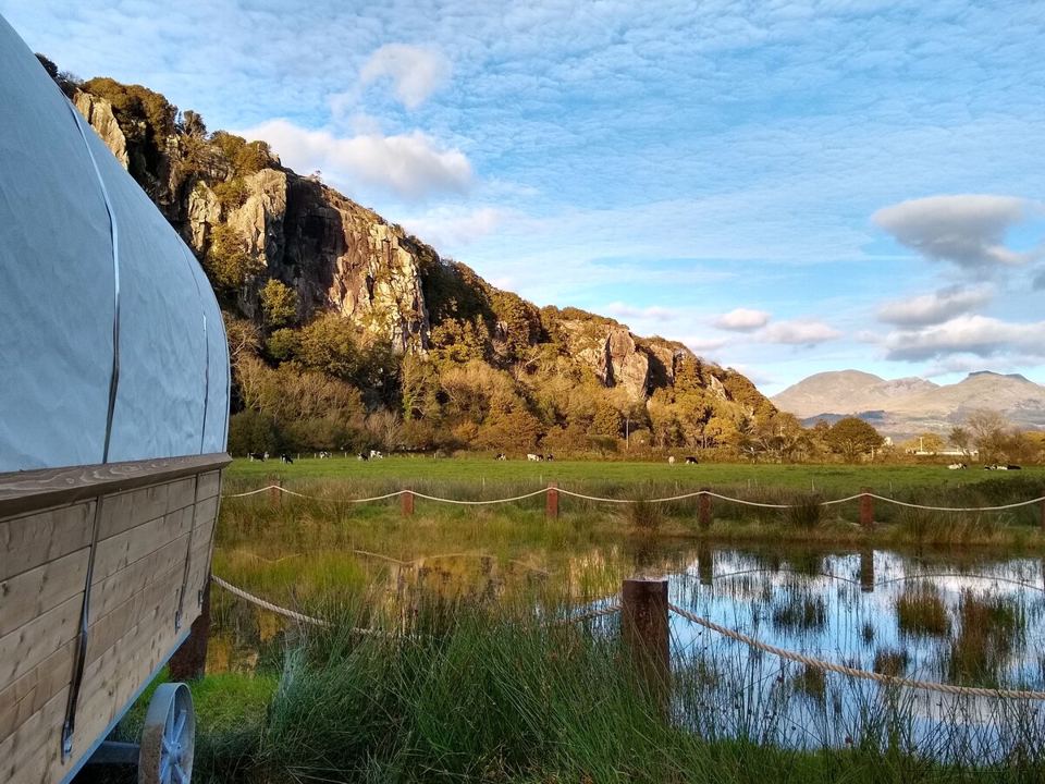 Wagon beside the wetland scrape