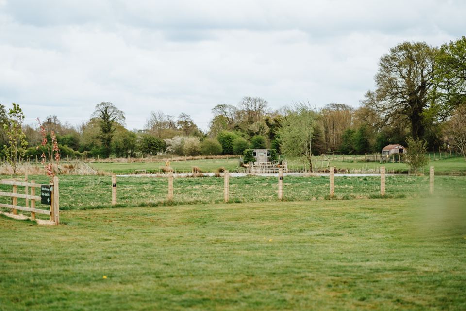 Open grass beside the fence