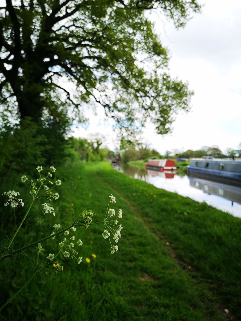 Canal towpath by the park