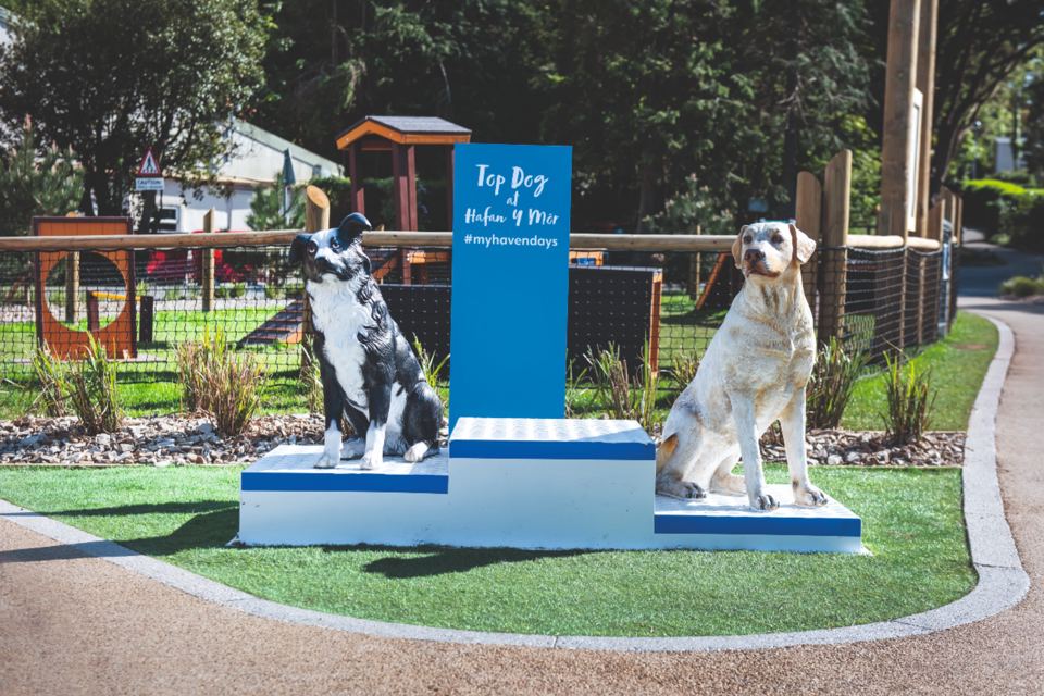 Dog statues by the Bark Yard