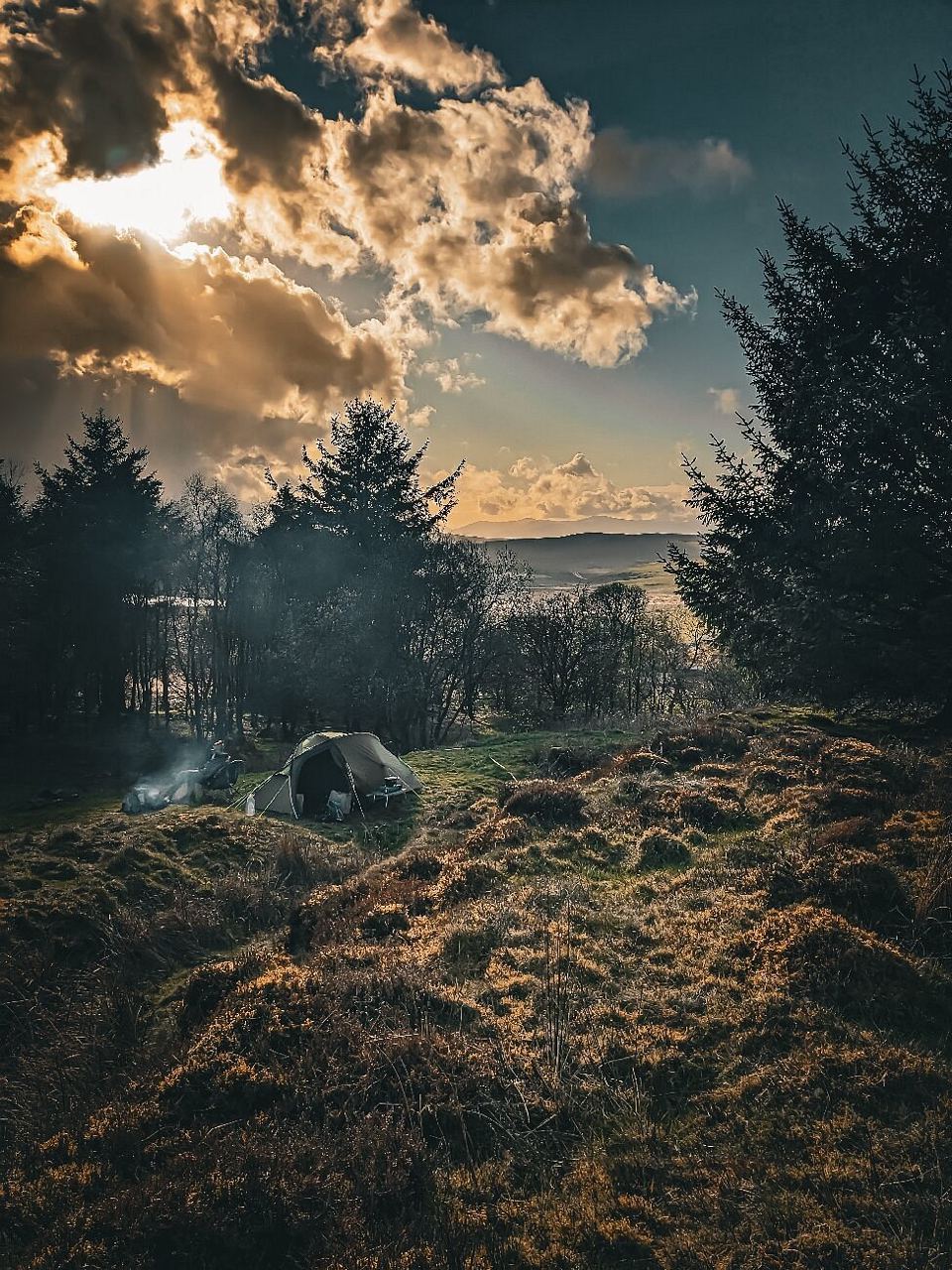 Tent among trees at dusk