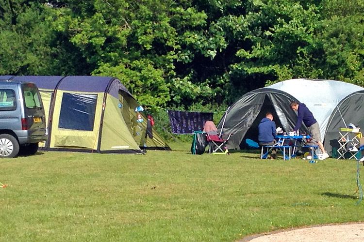 Tents and chairs on the grass