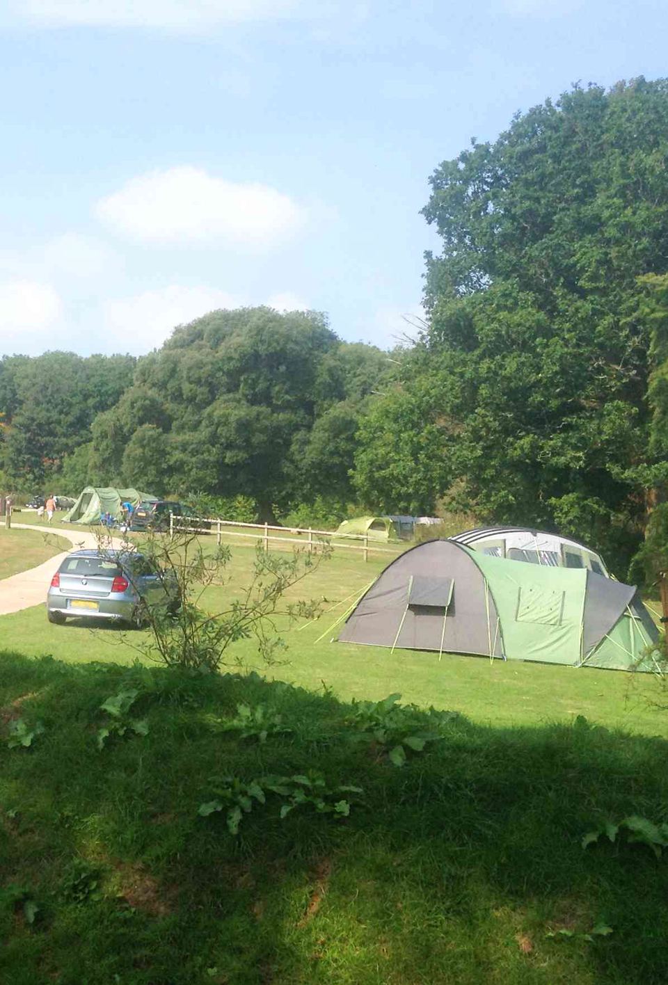 Tent pitch on the grass