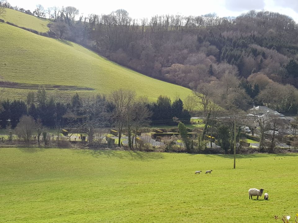 Sheep grazing in the valley