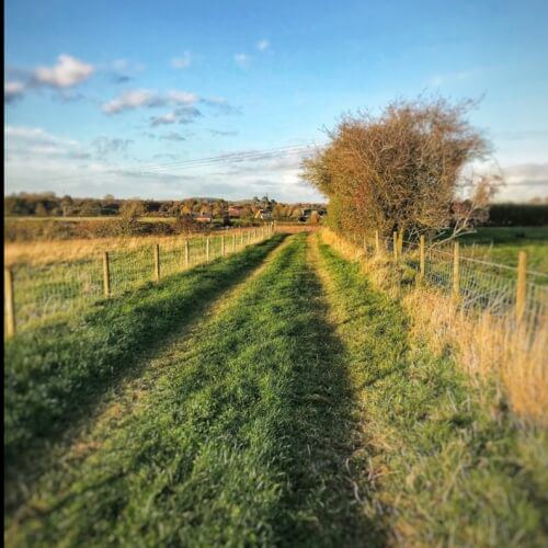 Footpath along the field edge