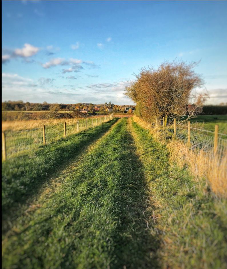 Grass farm walk