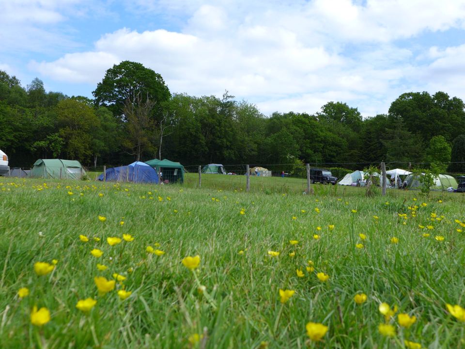 Tents across the camping field