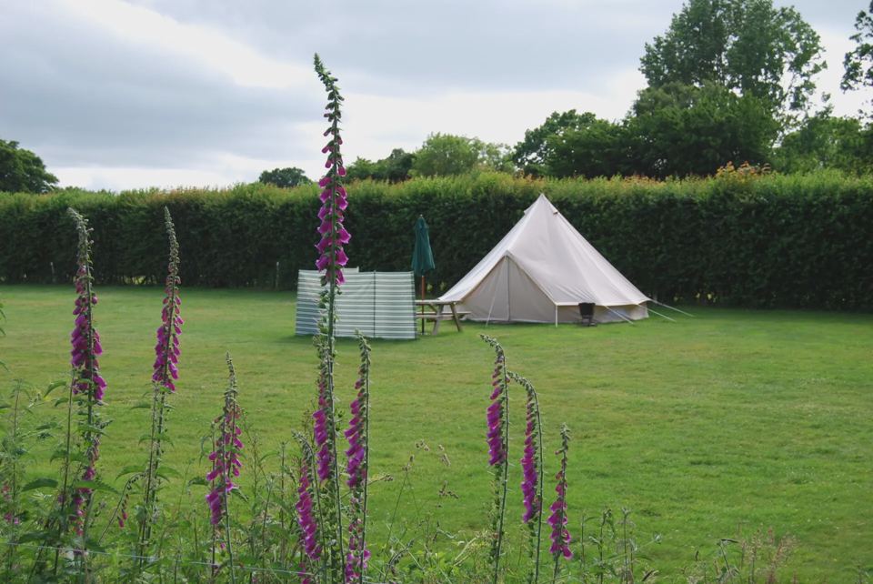 Bell tent in the camping field