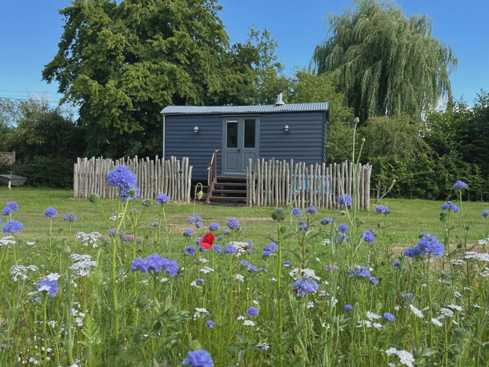 Shepherds hut among wildflowers