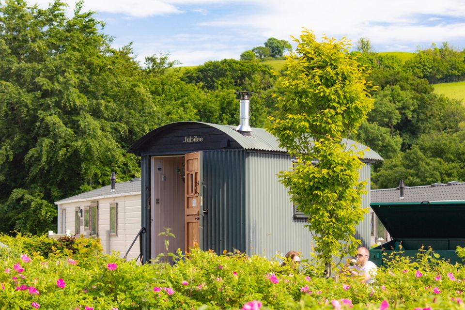 Shepherd's hut among flowers