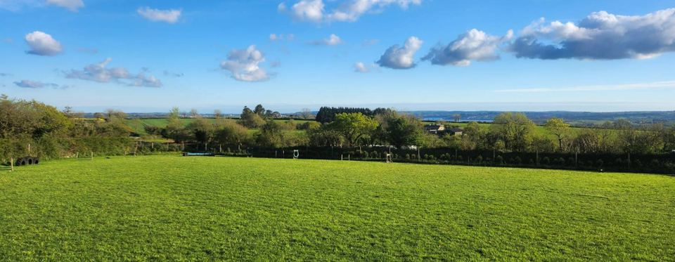 Open field with distant sea