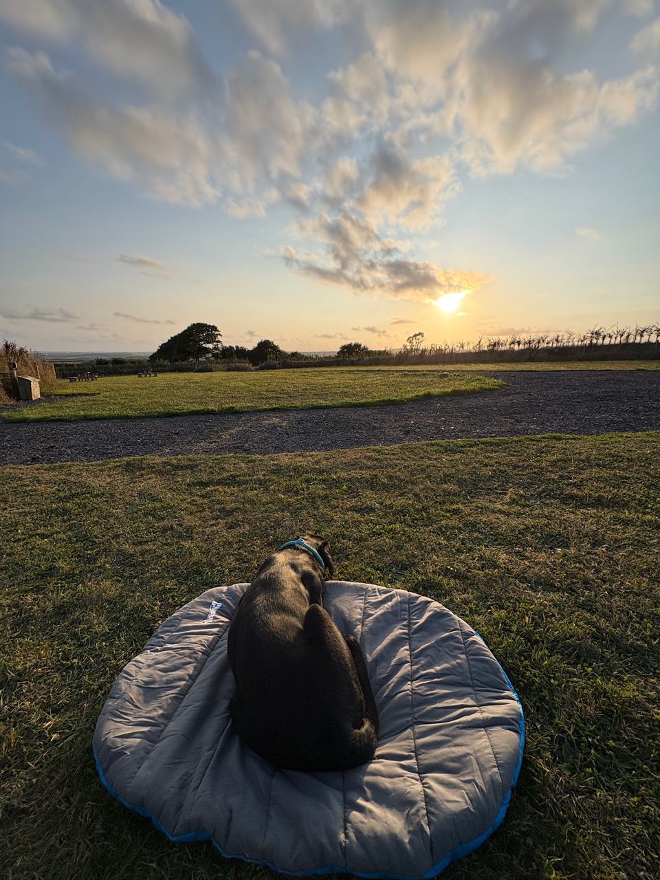 Sunset over the field