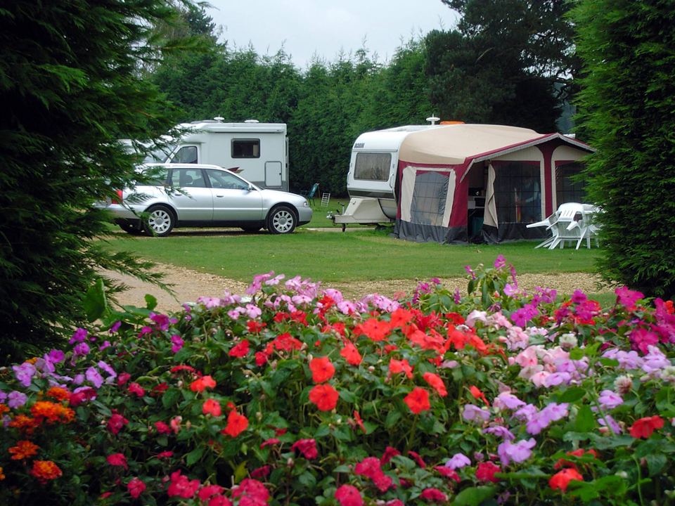 Tourers behind the flower beds