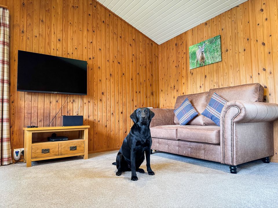 Dog-friendly lodge lounge