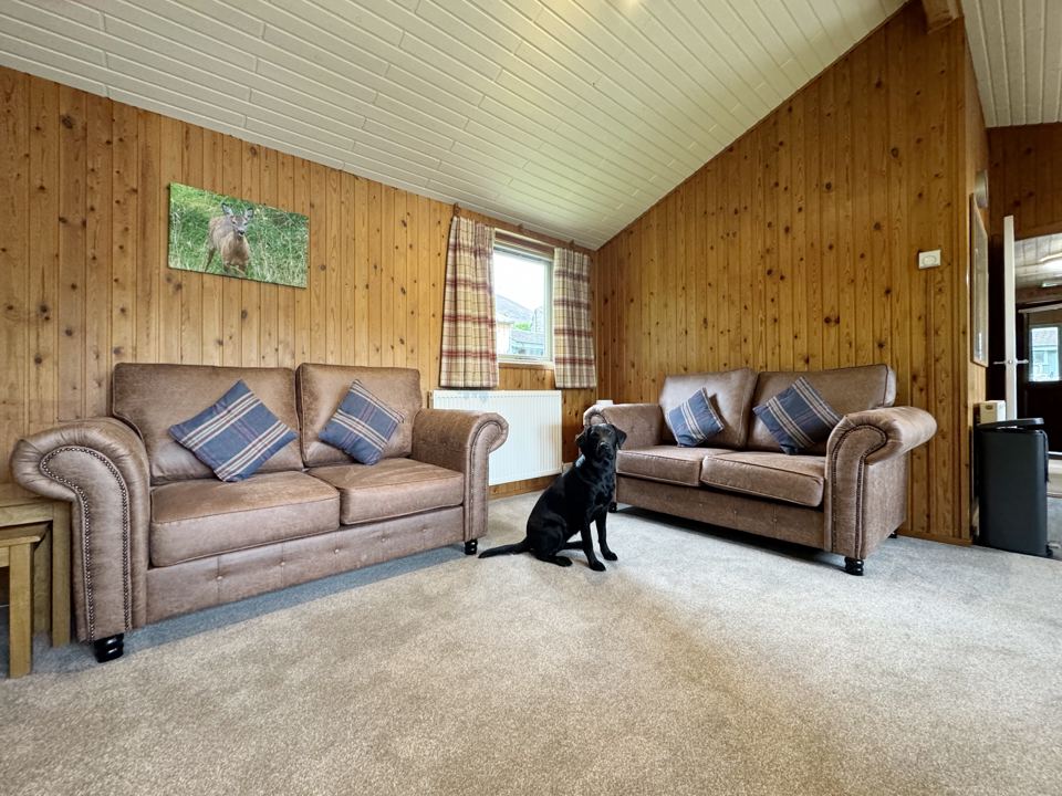 Lodge lounge with dog
