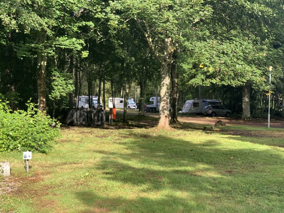 Touring pitches under the trees