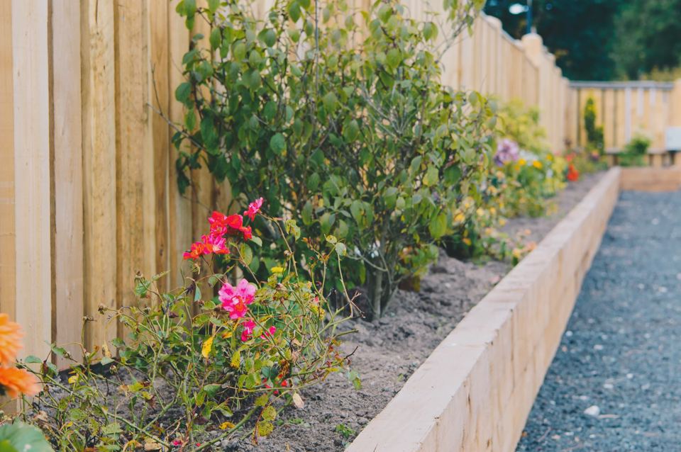 Gravel path beside fencing