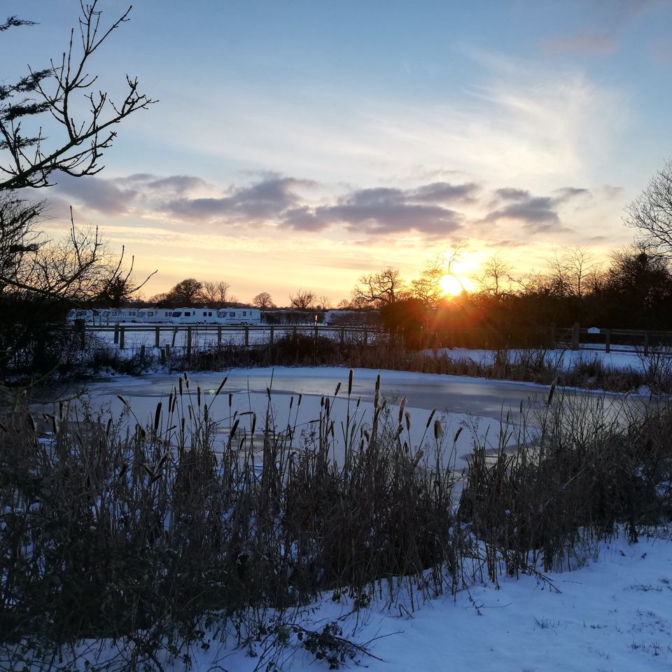 Sunset over the pond