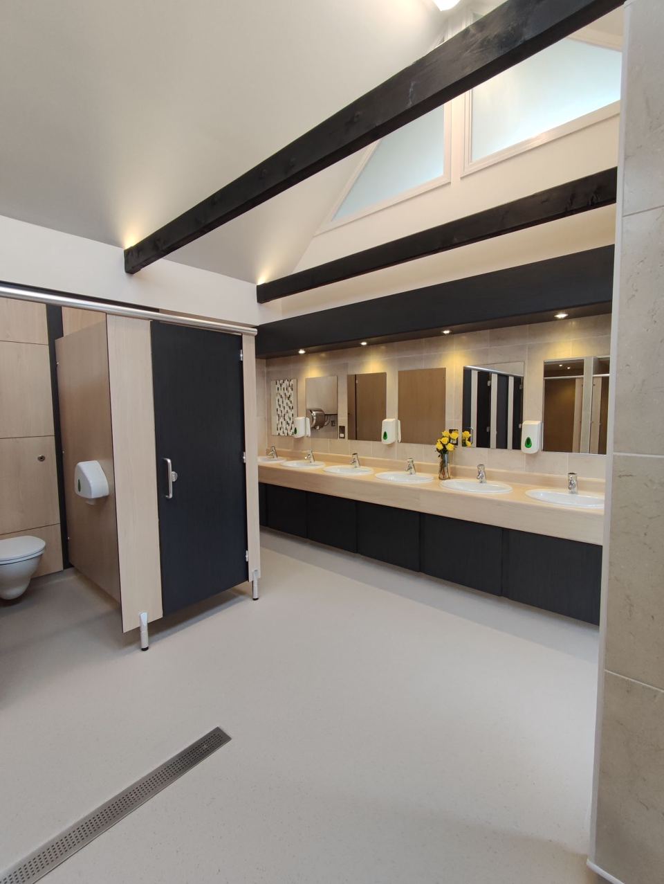 Washroom with skylights