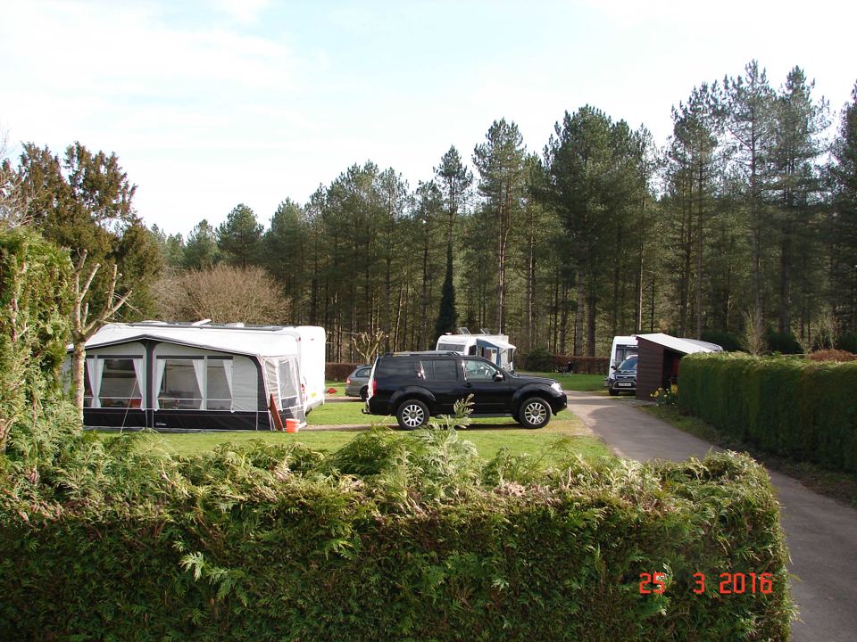 Awning pitch beside the hedge