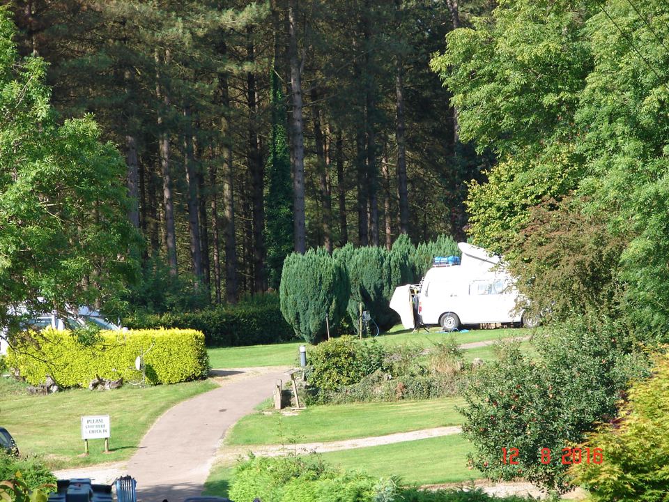 Motorhome in the trees