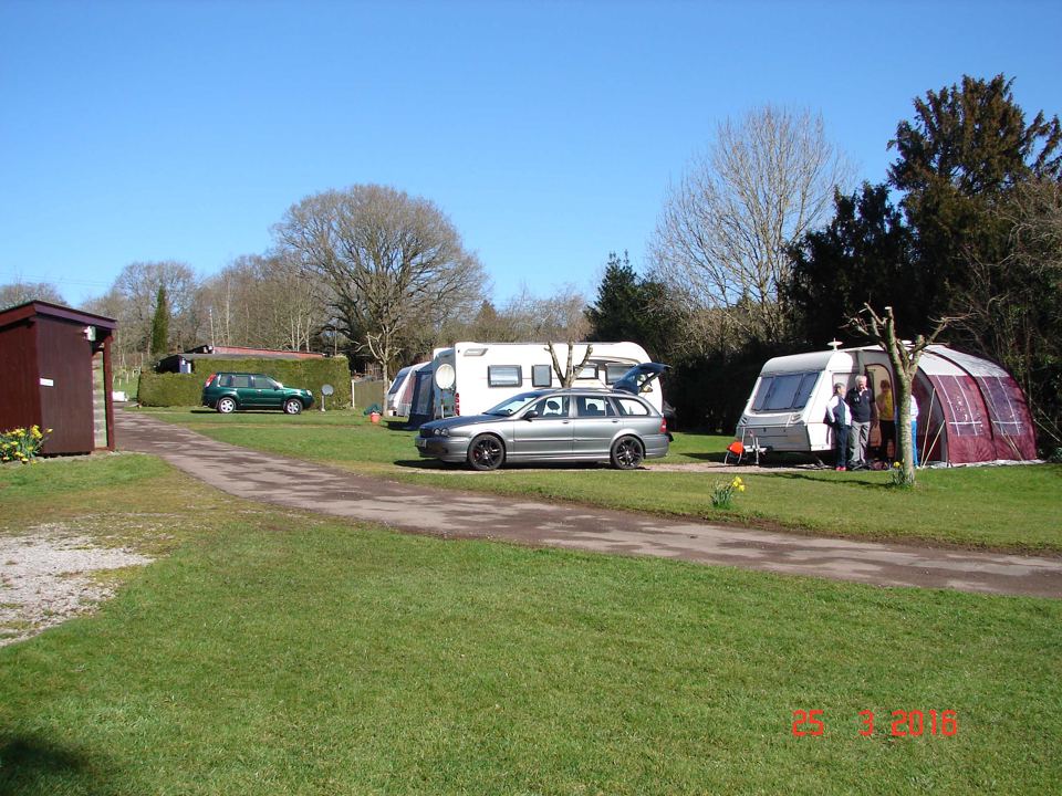 Pitches in spring sun