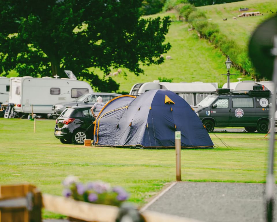 Tent and cars on the grass pitches