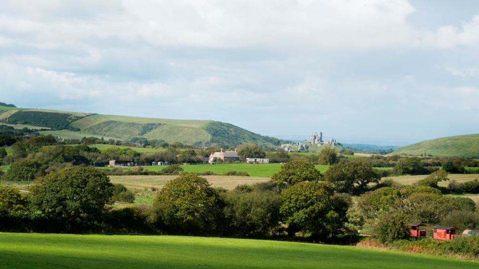 Purbeck hills and Corfe Castle in the distance