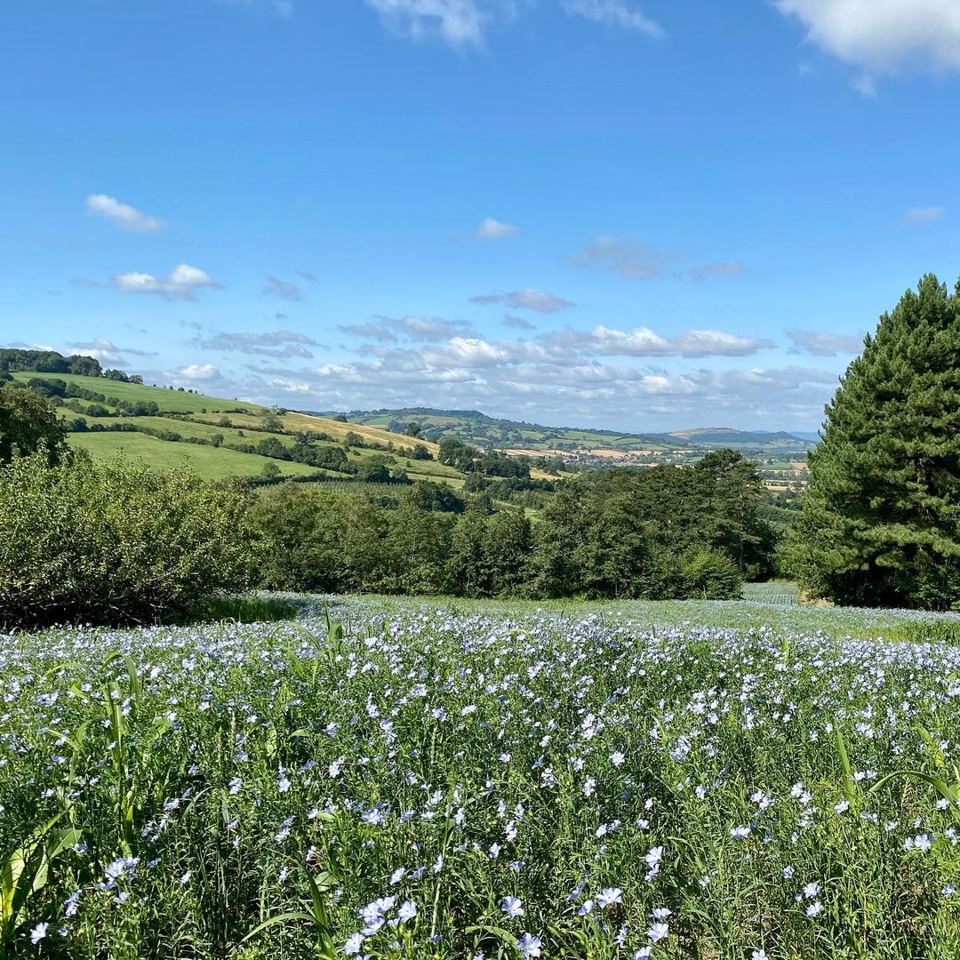 Views over the farm fields