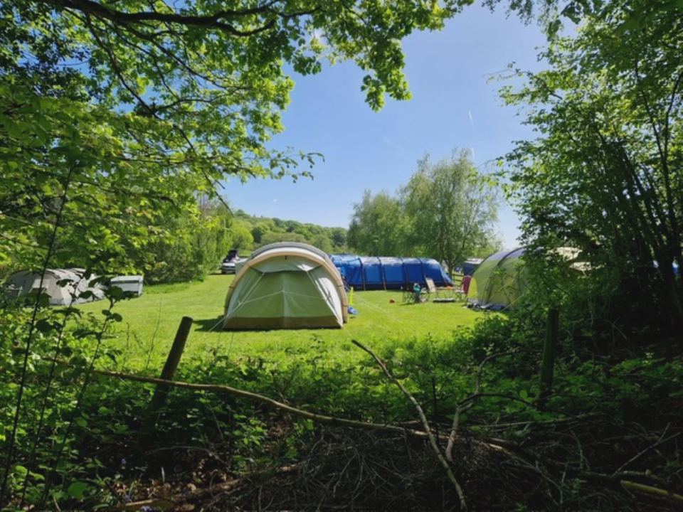 Tents on a grass pitch