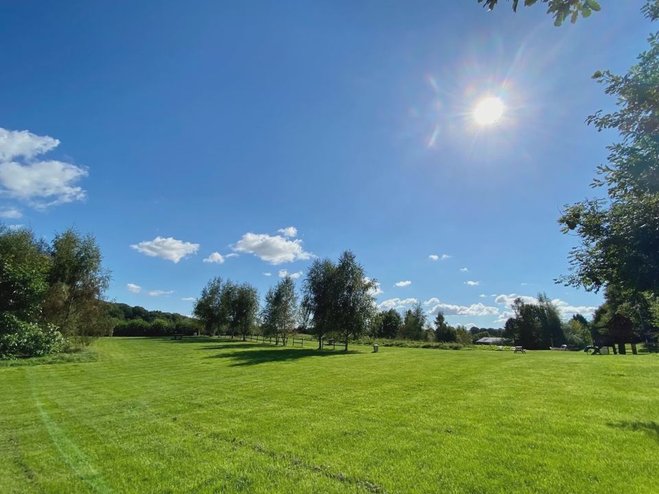Wide grass camping field