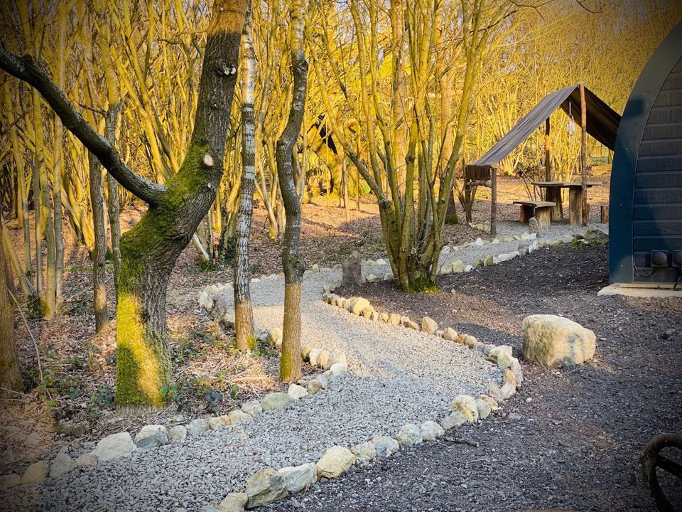 Glamping pod in the wood