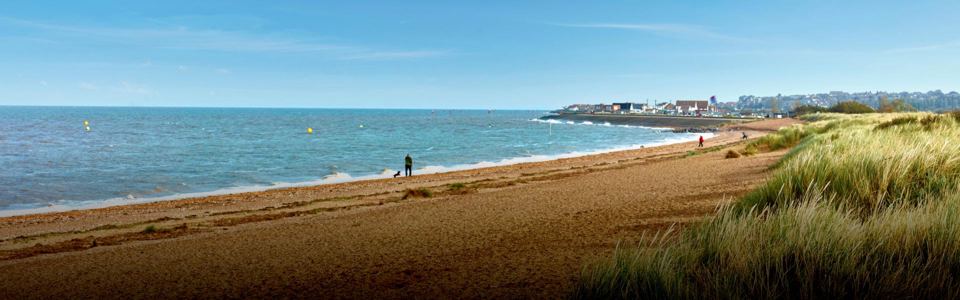 Beach and dunes near the park