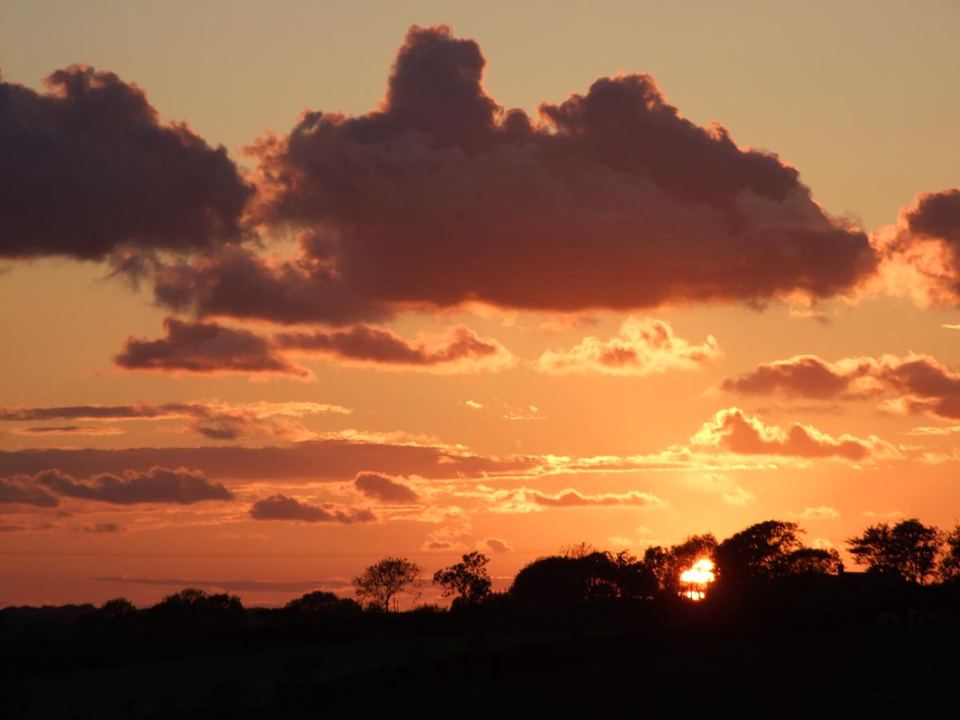 Sunset over the hedgerows