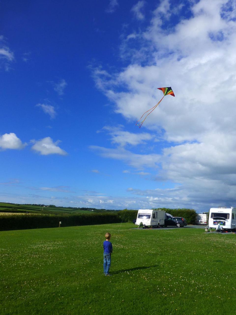 Kite flying over the pitches