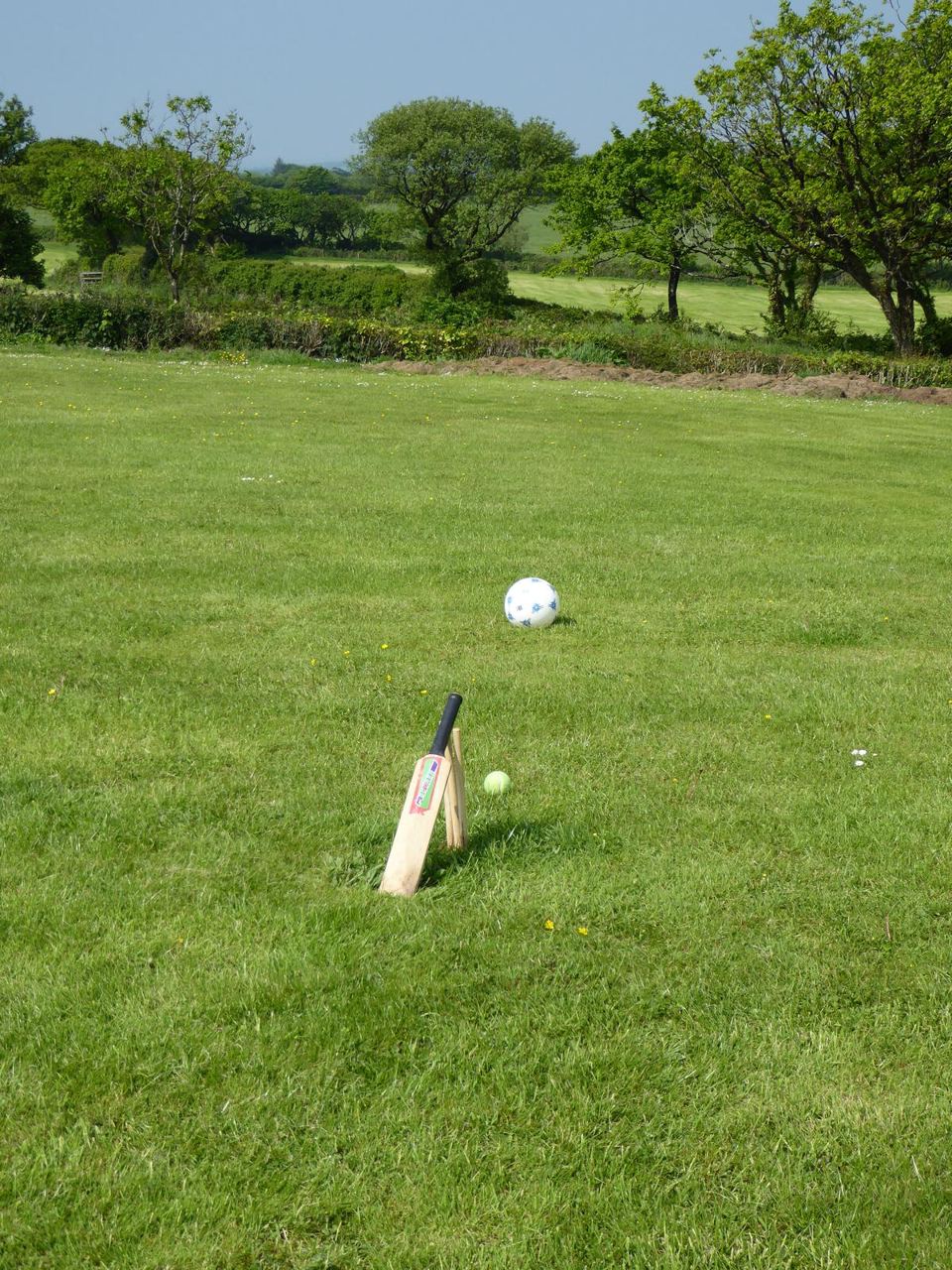 Cricket on the central lawn
