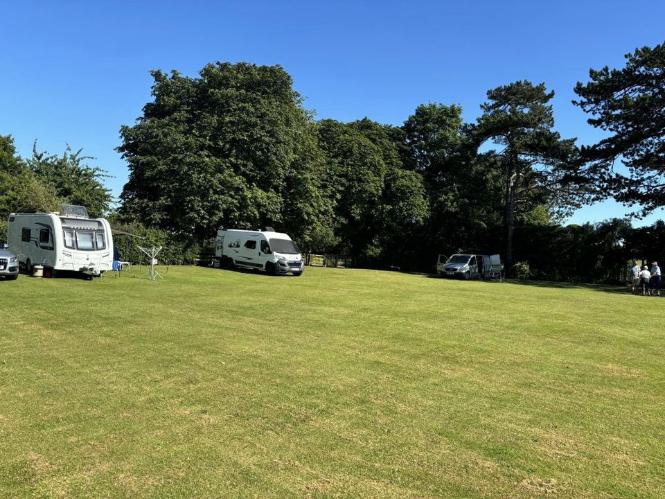 Pitches below the trees
