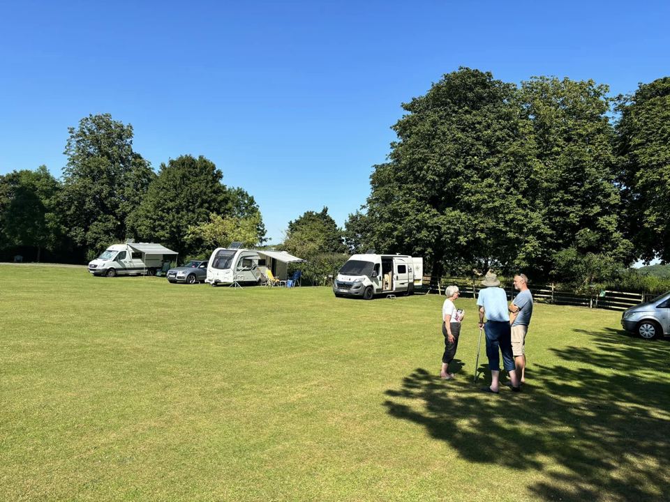 Caravans and motorhomes under trees