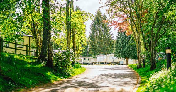 Caravans along a tree-lined lane