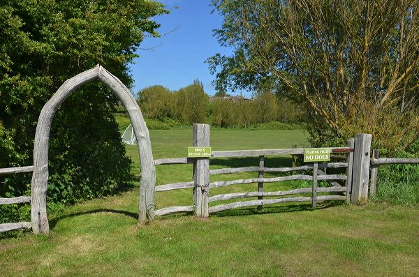 Field gate made from a whale's jaw