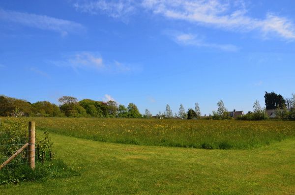 Open grass pitches