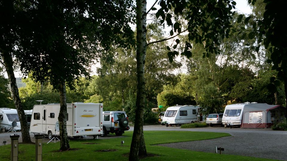 Caravans through the trees