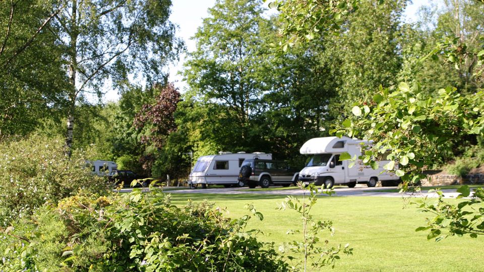 Motorhomes among the trees