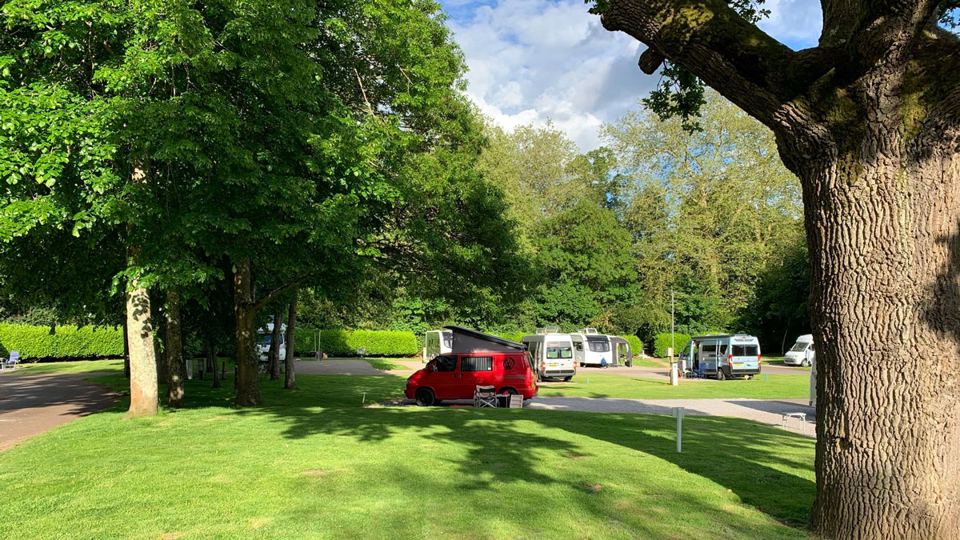 Pitches among mature trees