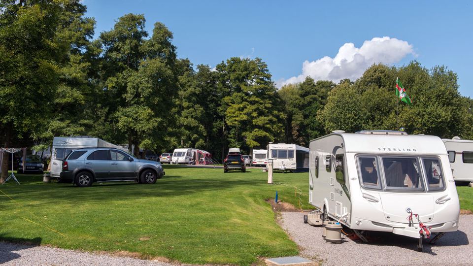 Grass pitches among trees