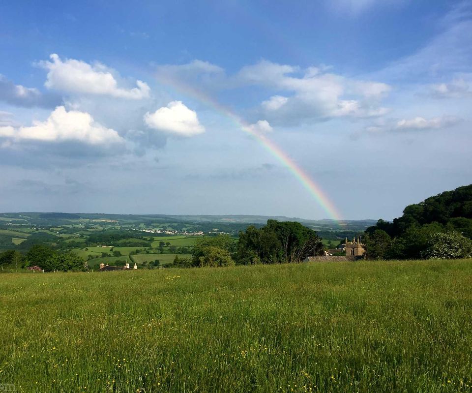 Meadow looking over the Teign Valley